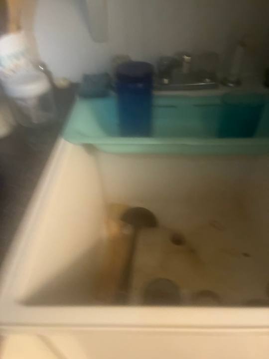 Drain & Sewer Clearing job in Palestine, TX