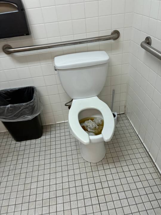 Toilet Repair job in Corsicana, TX