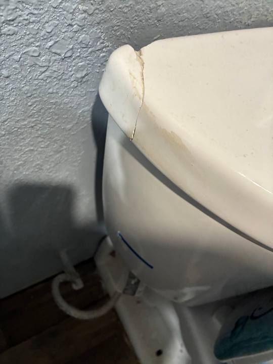 Toilet Repair job in Mabank, TX