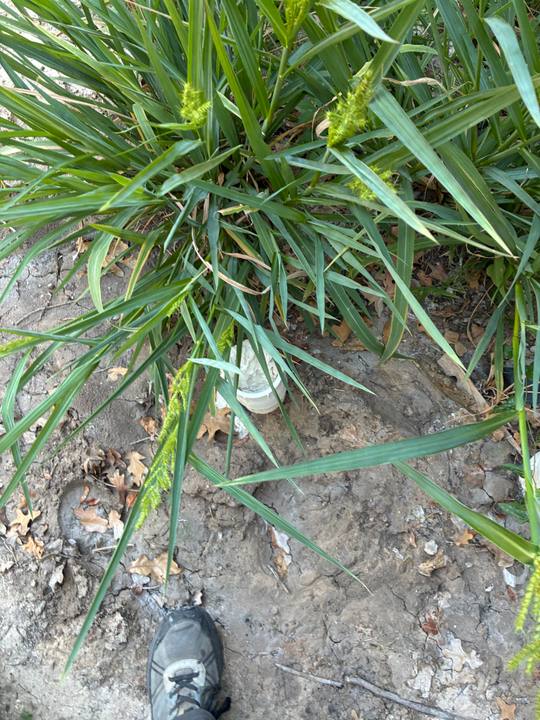 Drain & Sewer Clearing job in Kemp, TX